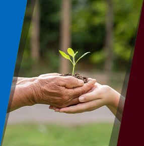 Postgraduate Diploma in Sustainability Science